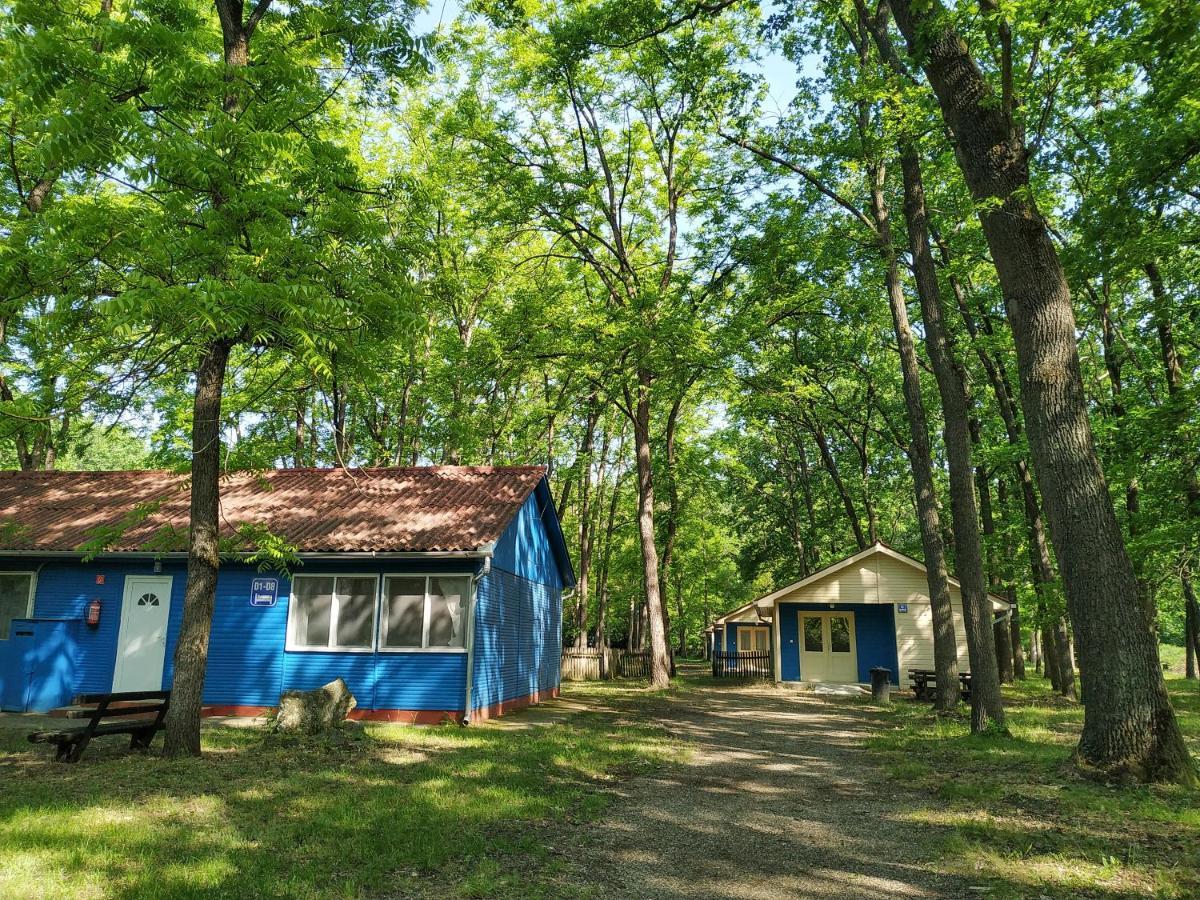 Dorcas Center&Camping Debrecen Exterior foto